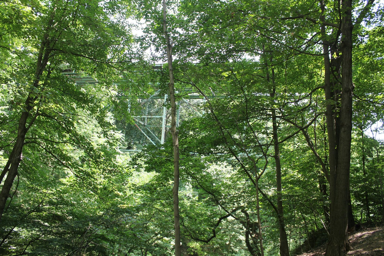 Obscured overview